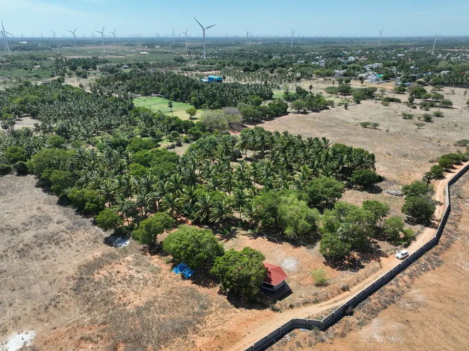 The walled plot seen from higher up, its compound wall running along one boundary